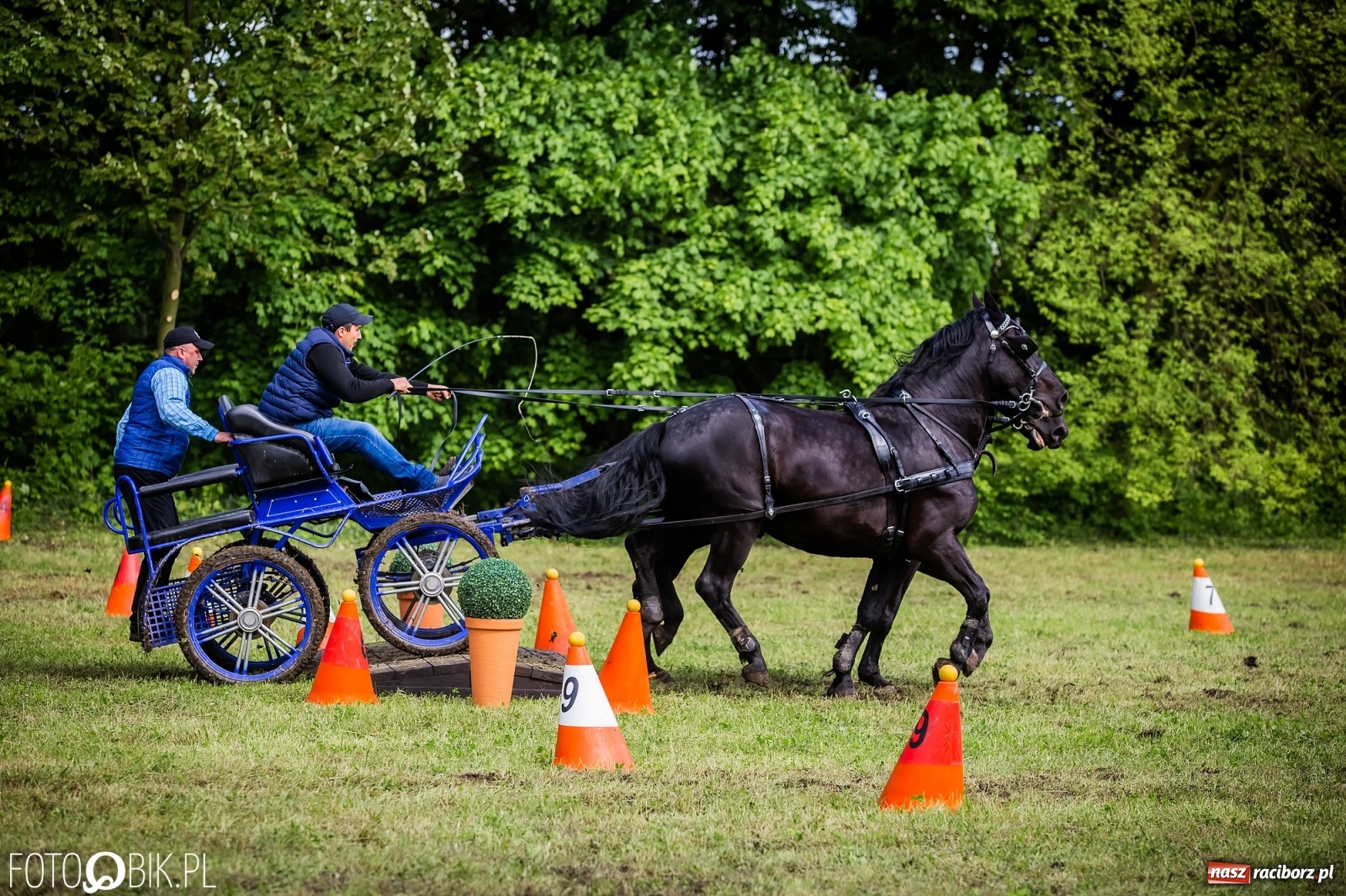 Zdjęcie w galerii na portalu naszraciborz.pl: Konna rywalizacja w Łubowicach [FOTO] wiadomości z regionu