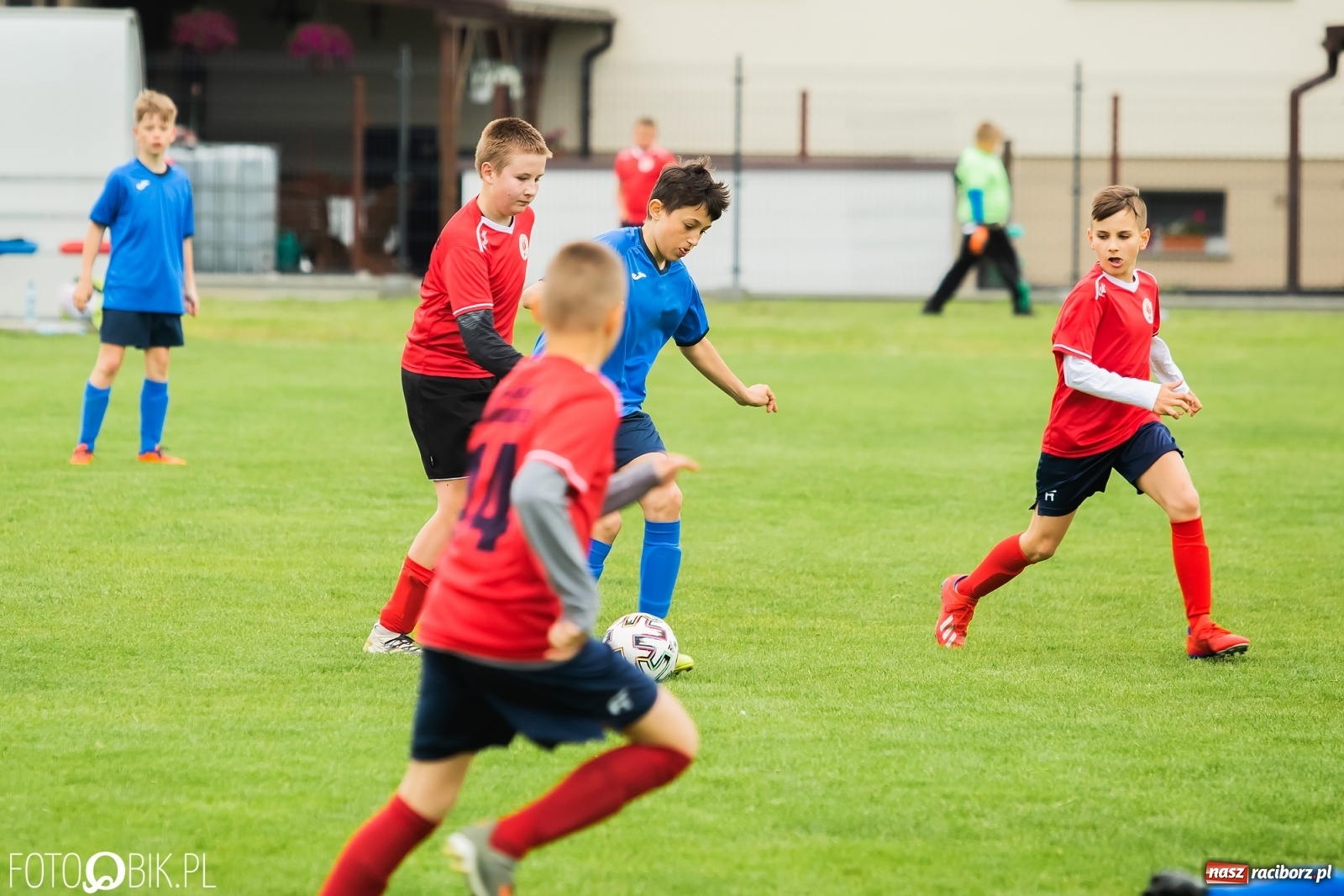 Zdjęcie w galerii na portalu naszraciborz.pl: Ostre strzelanie przy Urbana. Młodziki Studziennej z wygraną [FOTO] wiadomości z regionu