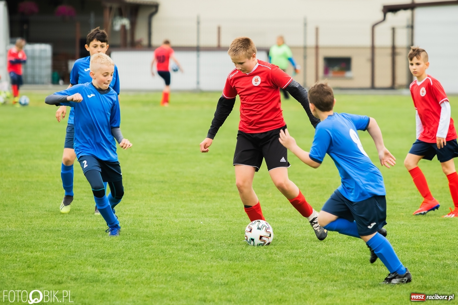 Zdjęcie w galerii na portalu naszraciborz.pl: Ostre strzelanie przy Urbana. Młodziki Studziennej z wygraną [FOTO] wiadomości z regionu