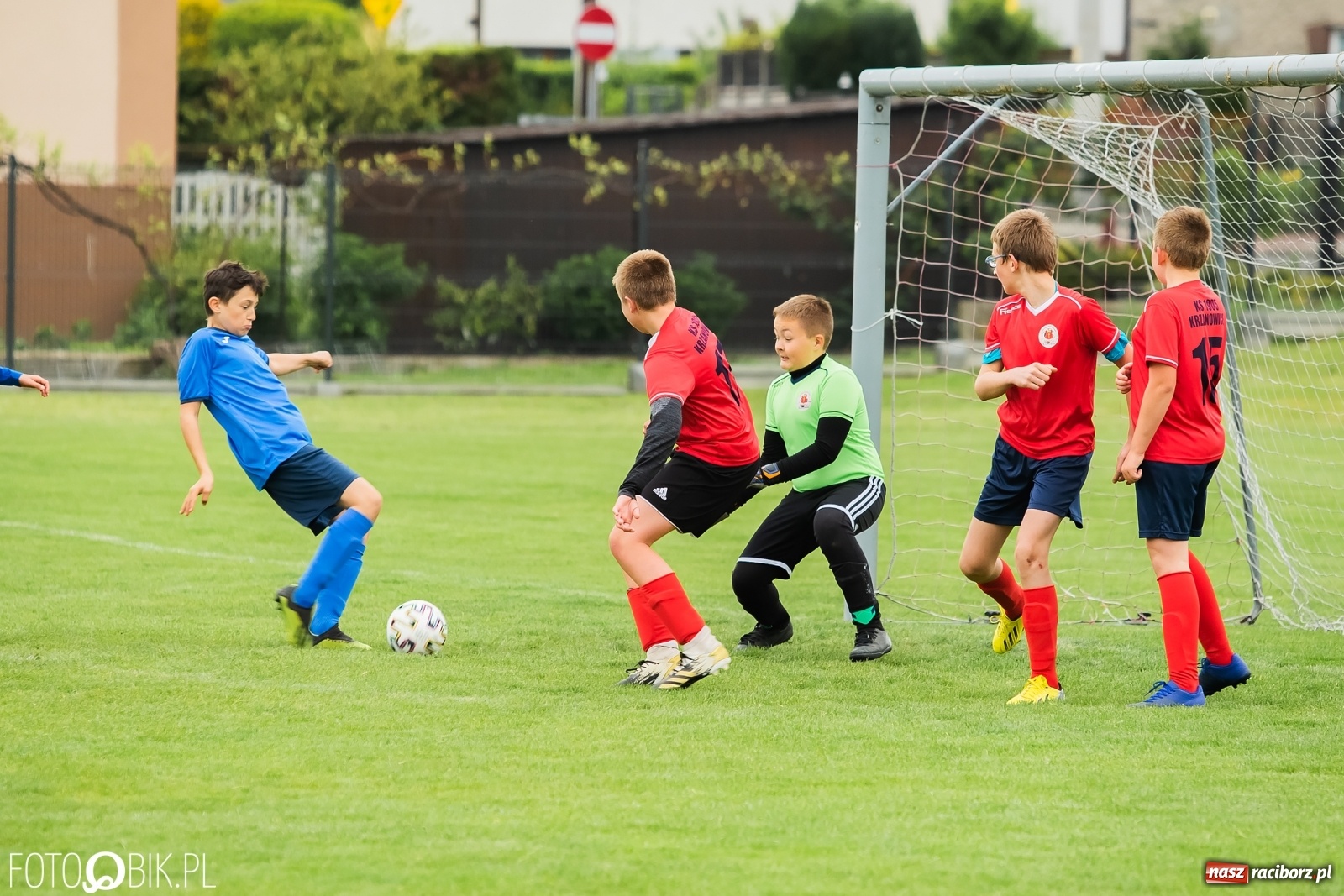 Zdjęcie w galerii na portalu naszraciborz.pl: Ostre strzelanie przy Urbana. Młodziki Studziennej z wygraną [FOTO] wiadomości z regionu