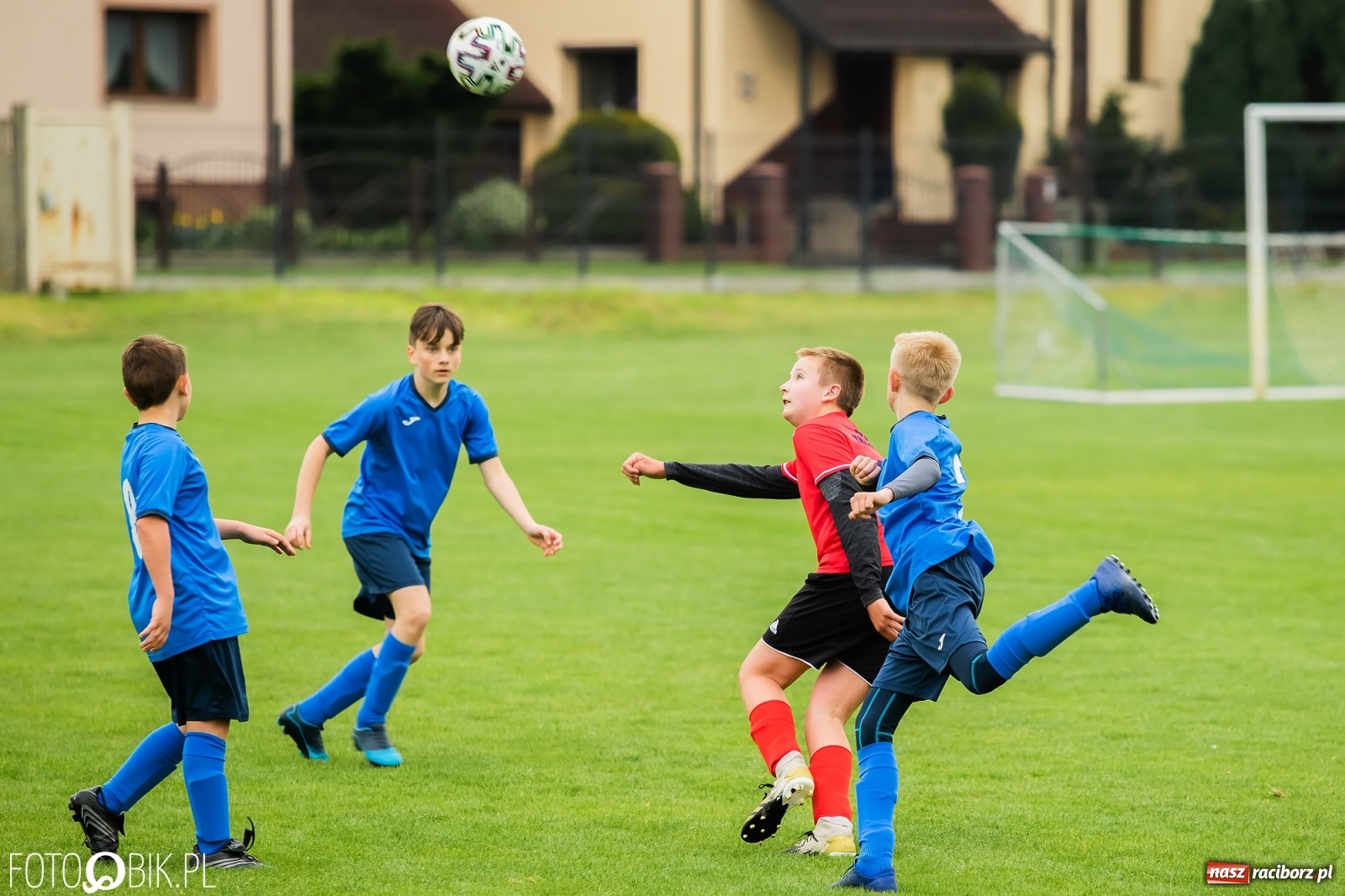 Zdjęcie w galerii na portalu naszraciborz.pl: Ostre strzelanie przy Urbana. Młodziki Studziennej z wygraną [FOTO] wiadomości z regionu