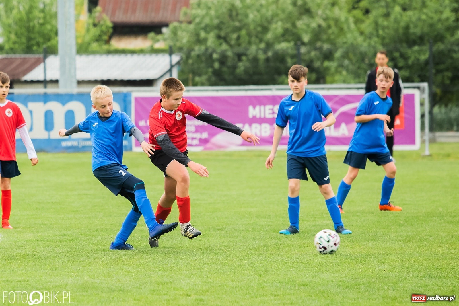 Zdjęcie w galerii na portalu naszraciborz.pl: Ostre strzelanie przy Urbana. Młodziki Studziennej z wygraną [FOTO] wiadomości z regionu