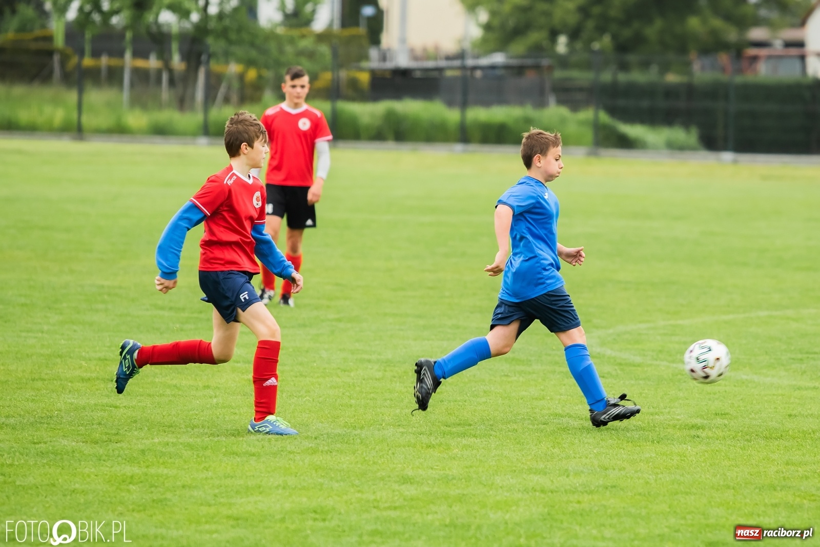Zdjęcie w galerii na portalu naszraciborz.pl: Ostre strzelanie przy Urbana. Młodziki Studziennej z wygraną [FOTO] wiadomości z regionu