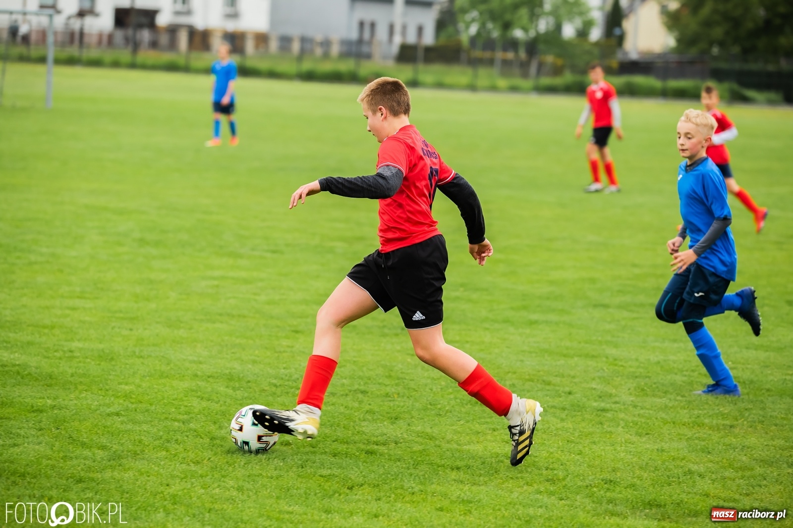 Zdjęcie w galerii na portalu naszraciborz.pl: Ostre strzelanie przy Urbana. Młodziki Studziennej z wygraną [FOTO] wiadomości z regionu
