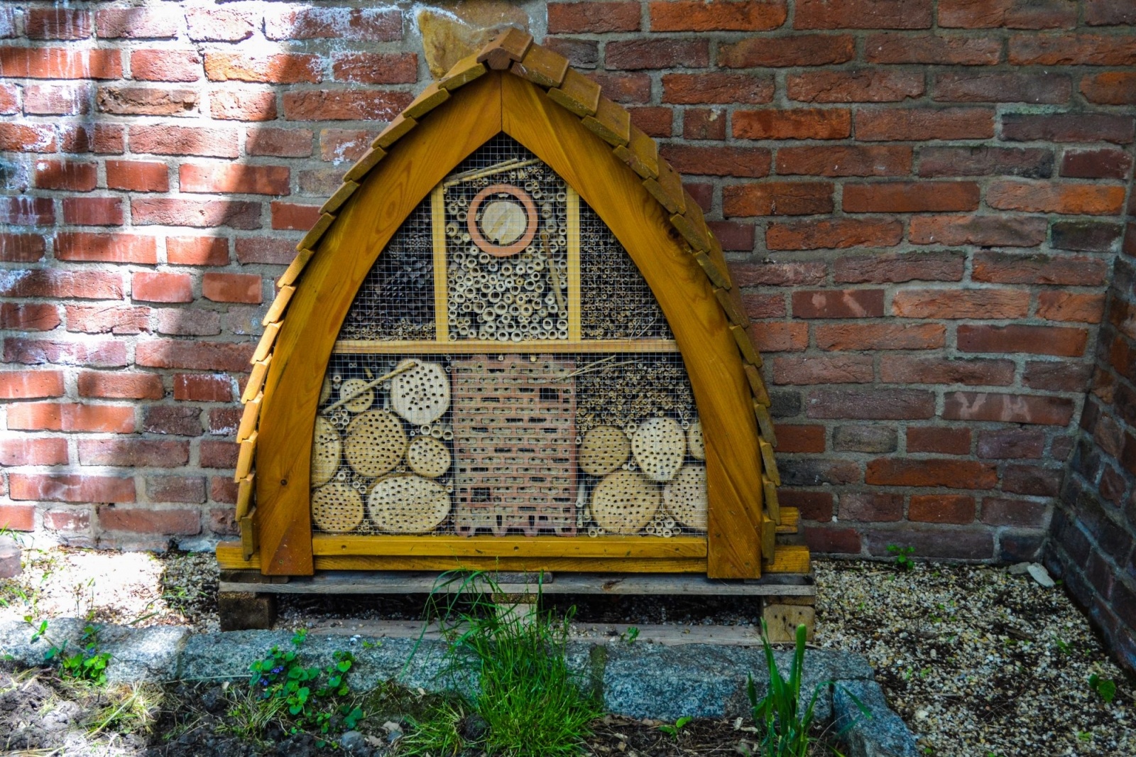 Zdjęcie w galerii na portalu naszraciborz.pl: Na zamku piastowskim powstaje łąka kwietna wiadomości z regionu