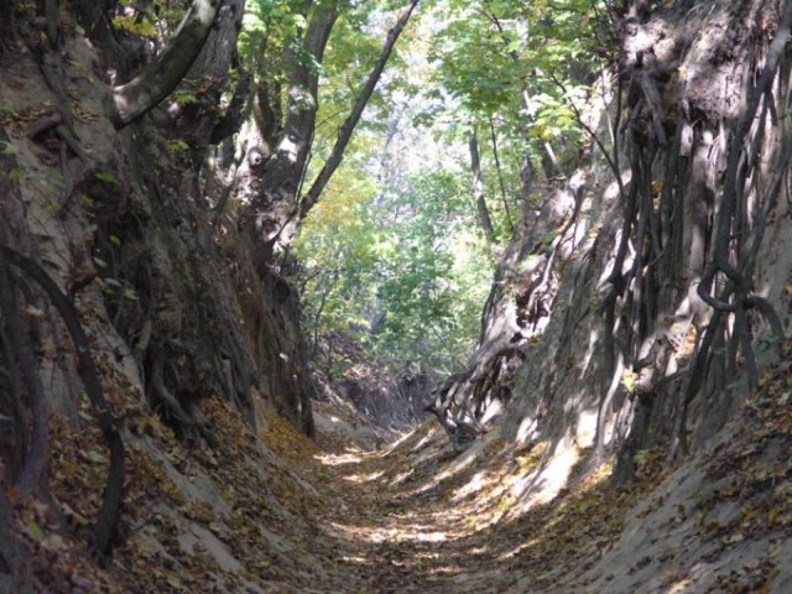 Zdjęcie w galerii na portalu naszraciborz.pl: Sandomierz i Kazimierz, czyli kwintesencja dawnej polskości! Orinoko zaprasza na szlak wiadomości z regionu