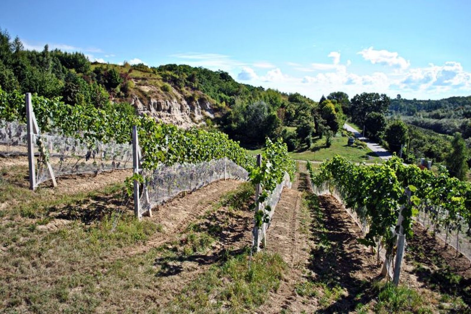 Zdjęcie w galerii na portalu naszraciborz.pl: Sandomierz i Kazimierz, czyli kwintesencja dawnej polskości! Orinoko zaprasza na szlak wiadomości z regionu