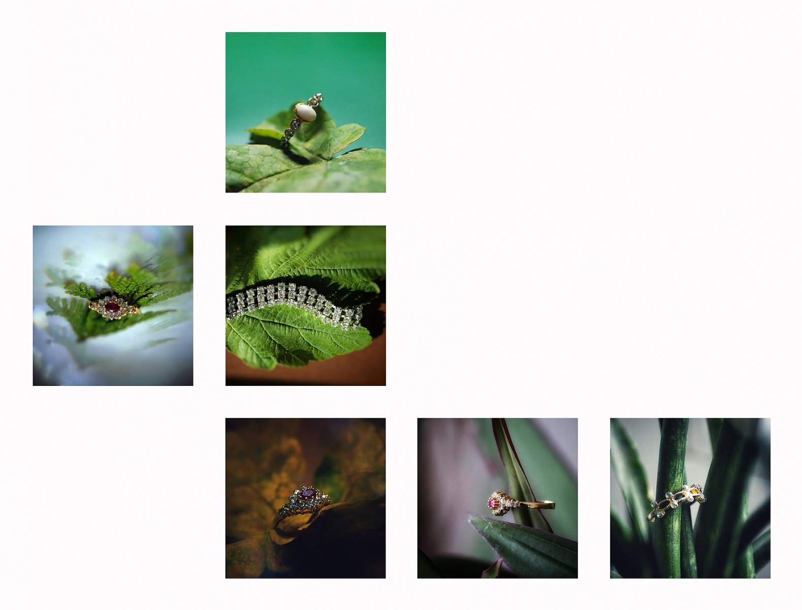 Zdjęcie w galerii na portalu naszraciborz.pl: Dyplomy 2021. Wernisaż wystawy wkrótce na Zamku Piastowskim wiadomości z regionu