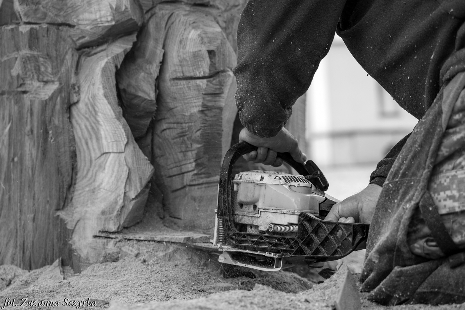 Zdjęcie w galerii na portalu naszraciborz.pl: Studenci raciborskiej PWSZ wzięli udział w plenerze fotograficznym na zamku wiadomości z regionu