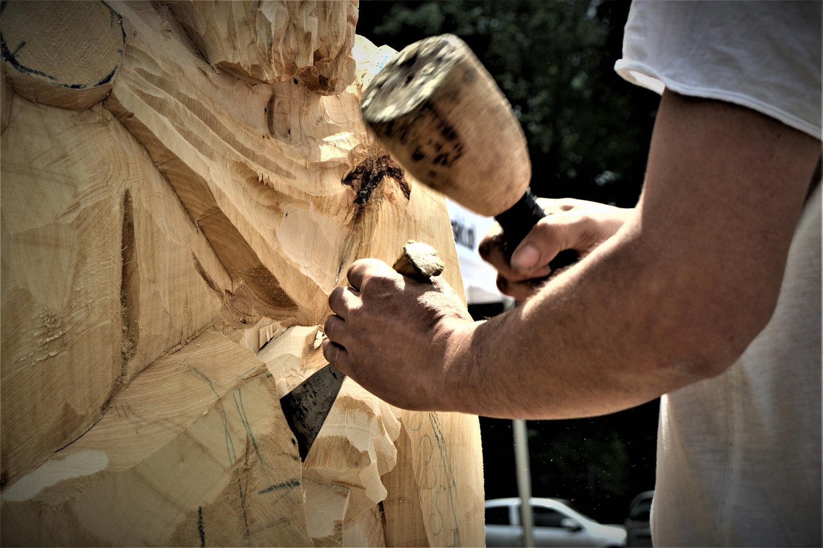 Zdjęcie w galerii na portalu naszraciborz.pl: Studenci raciborskiej PWSZ wzięli udział w plenerze fotograficznym na zamku wiadomości z regionu
