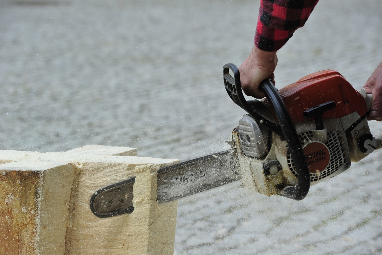 Zdjęcie w galerii na portalu naszraciborz.pl: Studenci raciborskiej PWSZ wzięli udział w plenerze fotograficznym na zamku wiadomości z regionu