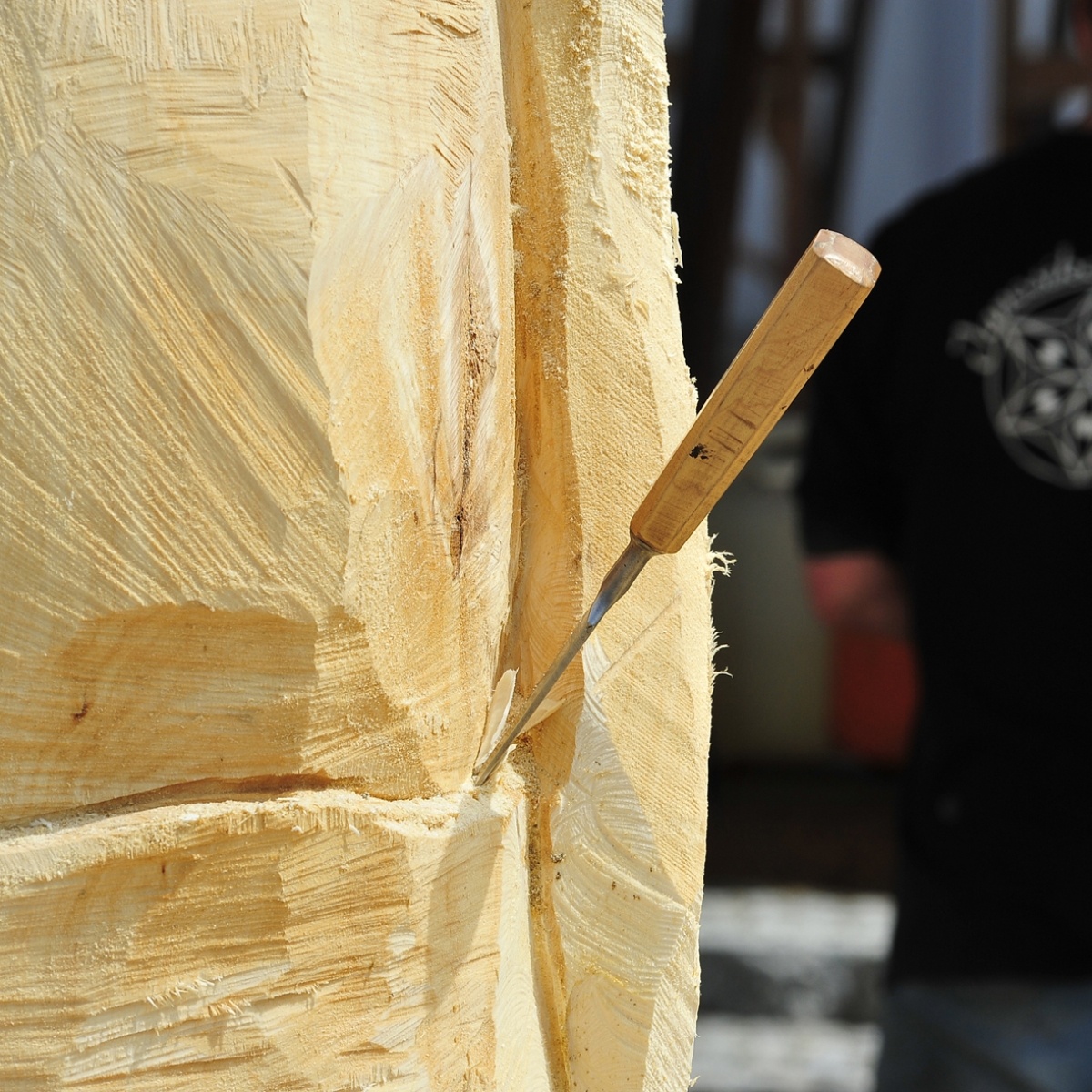 Zdjęcie w galerii na portalu naszraciborz.pl: Studenci raciborskiej PWSZ wzięli udział w plenerze fotograficznym na zamku wiadomości z regionu