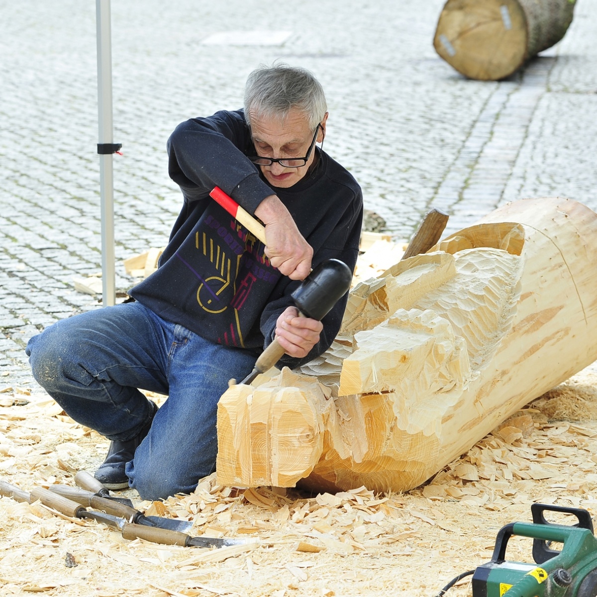 Zdjęcie w galerii na portalu naszraciborz.pl: Studenci raciborskiej PWSZ wzięli udział w plenerze fotograficznym na zamku wiadomości z regionu