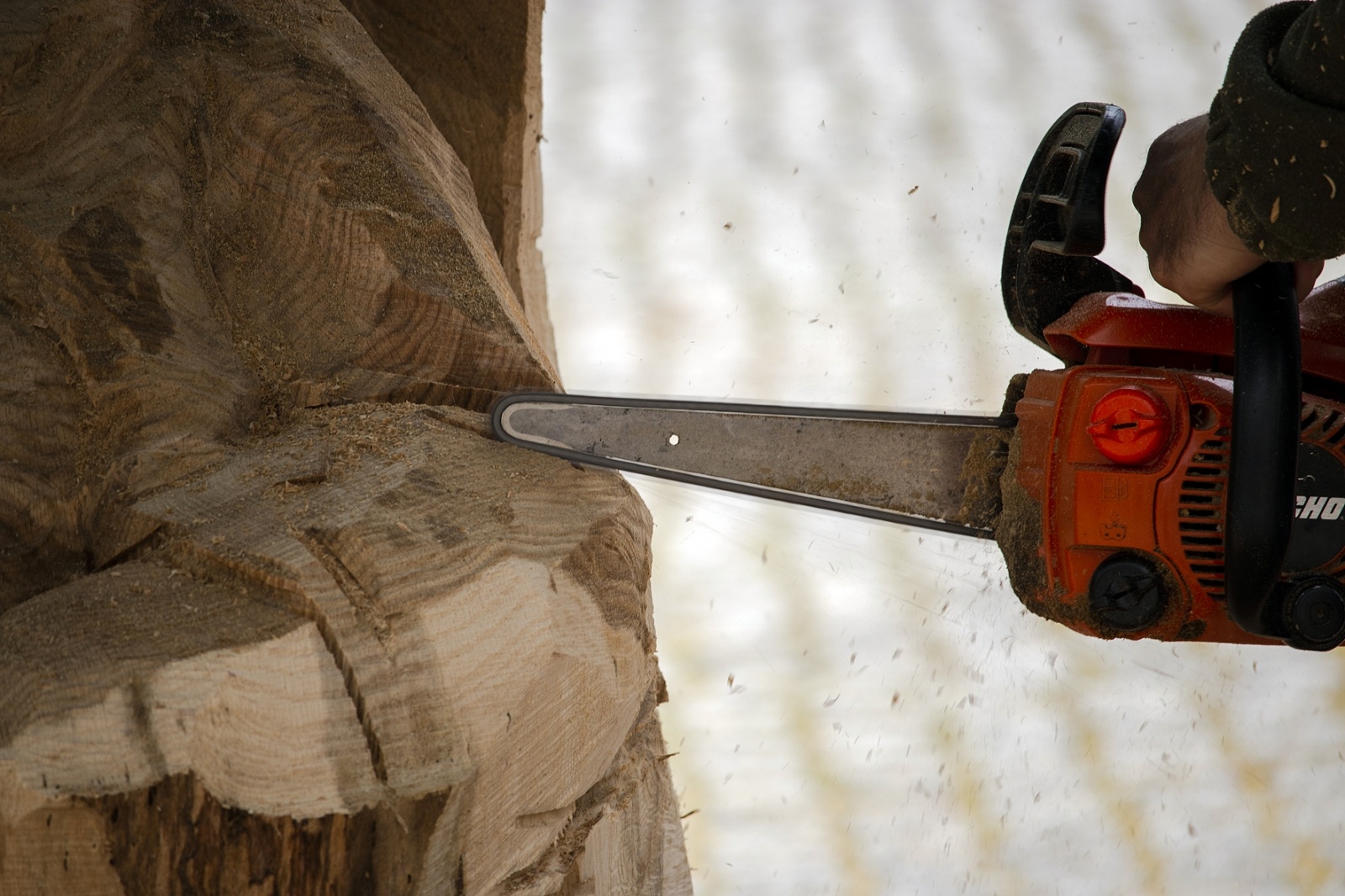 Zdjęcie w galerii na portalu naszraciborz.pl: Studenci raciborskiej PWSZ wzięli udział w plenerze fotograficznym na zamku wiadomości z regionu