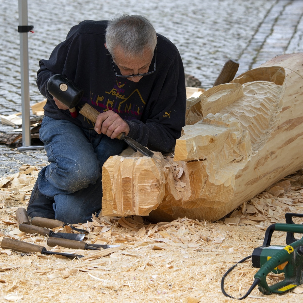 Zdjęcie w galerii na portalu naszraciborz.pl: Studenci raciborskiej PWSZ wzięli udział w plenerze fotograficznym na zamku wiadomości z regionu