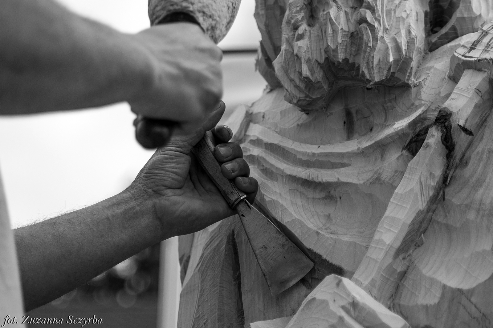 Zdjęcie w galerii na portalu naszraciborz.pl: Studenci raciborskiej PWSZ wzięli udział w plenerze fotograficznym na zamku wiadomości z regionu