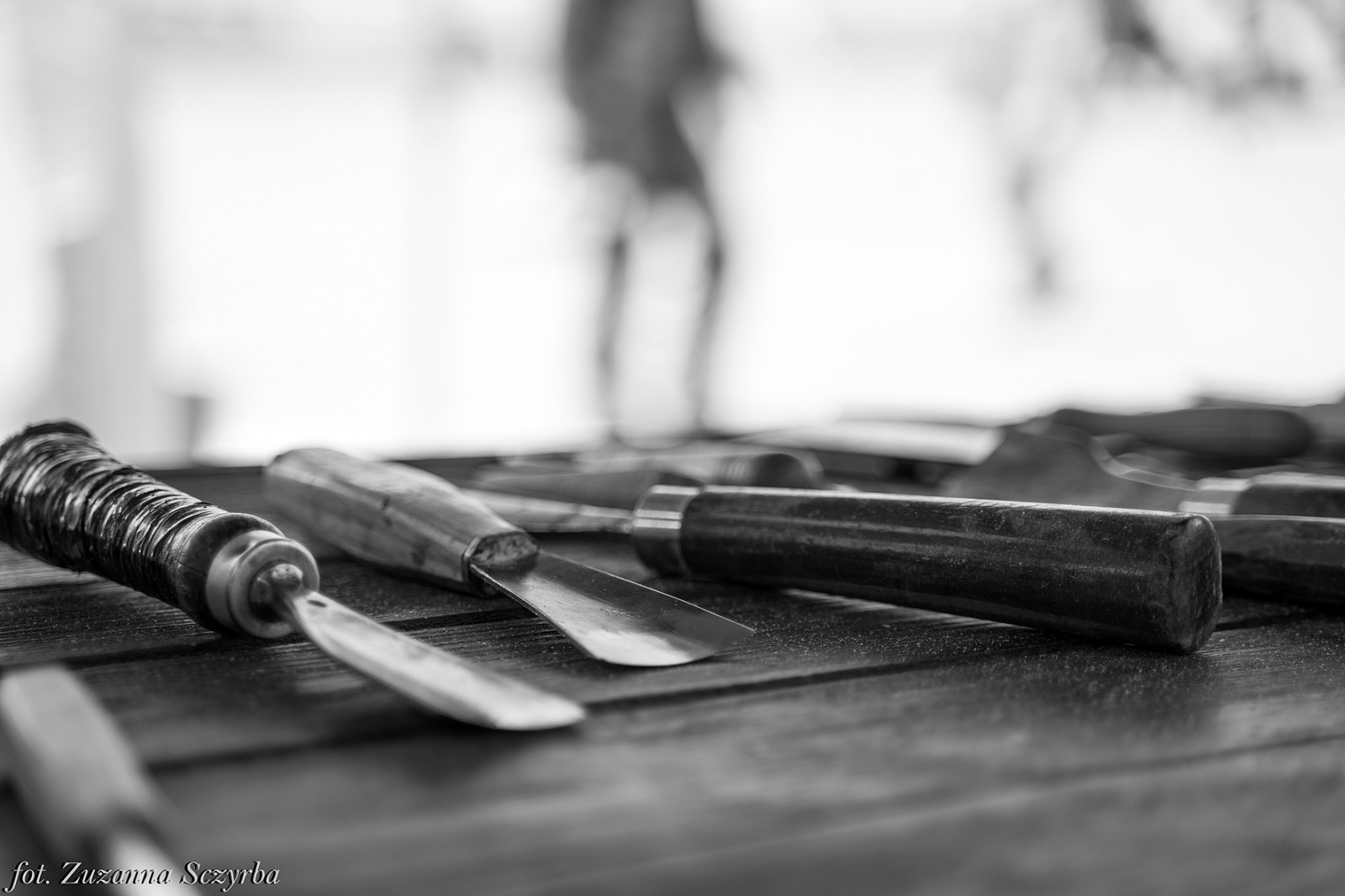 Zdjęcie w galerii na portalu naszraciborz.pl: Studenci raciborskiej PWSZ wzięli udział w plenerze fotograficznym na zamku wiadomości z regionu