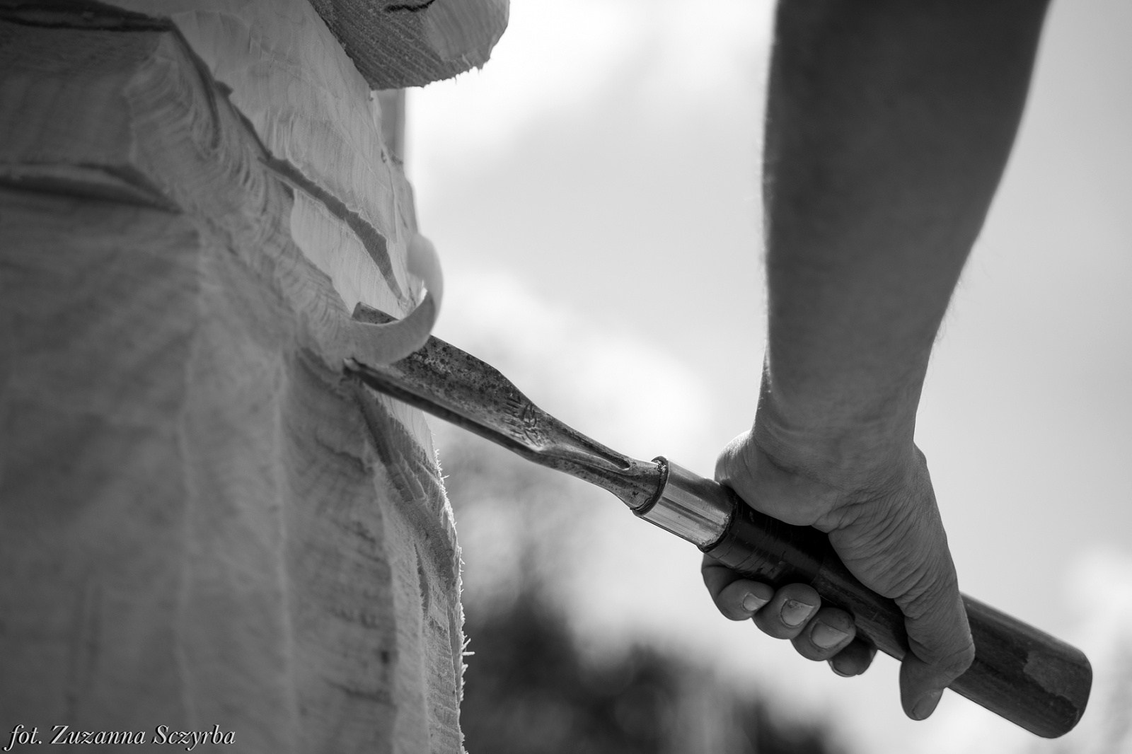Zdjęcie w galerii na portalu naszraciborz.pl: Studenci raciborskiej PWSZ wzięli udział w plenerze fotograficznym na zamku wiadomości z regionu
