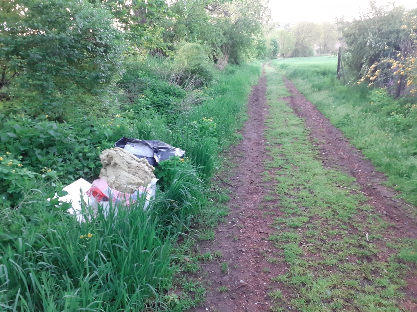Zdjęcie w galerii na portalu naszraciborz.pl: Nie wiedział, że został nagrany. Musiał sprzątać i zapłacił karę wiadomości z regionu
