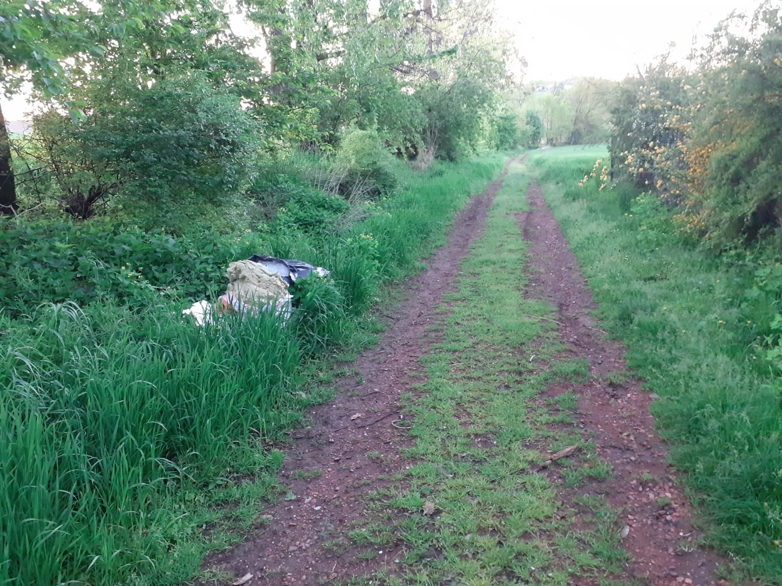 Zdjęcie w galerii na portalu naszraciborz.pl: Nie wiedział, że został nagrany. Musiał sprzątać i zapłacił karę wiadomości z regionu