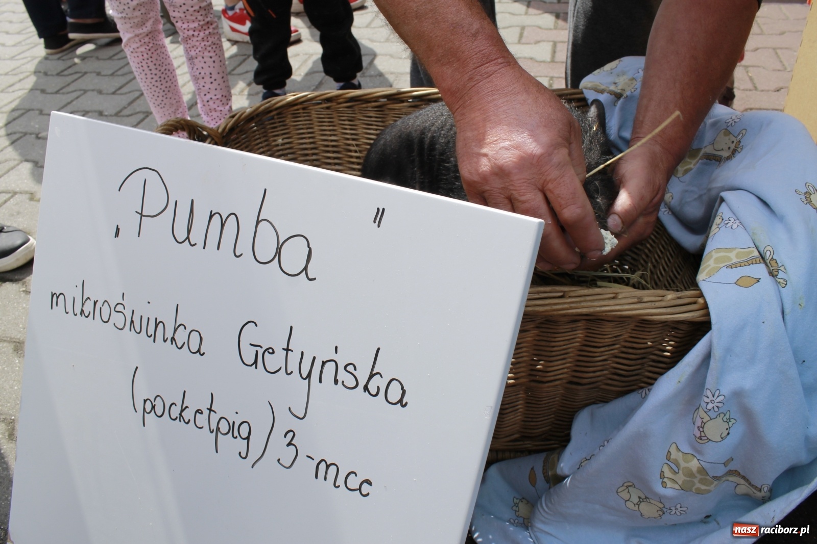 Zdjęcie w galerii na portalu naszraciborz.pl: Skarby i szpargały. Co można znaleźć na jarmarkach staroci? wiadomości z regionu