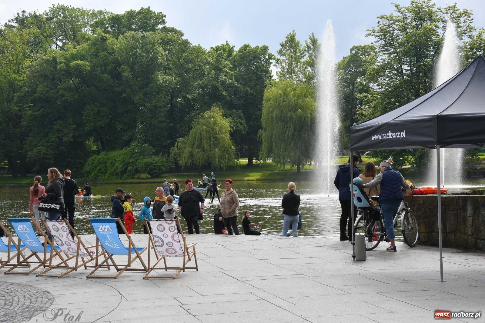 Zdjęcie w galerii na portalu naszraciborz.pl: Racibórz. Wielkie wiosłowanie w parku m. Roth wiadomości z regionu
