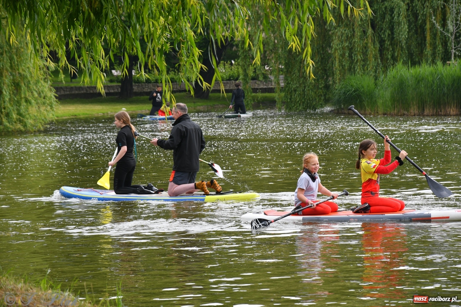 Zdjęcie w galerii na portalu naszraciborz.pl: Racibórz. Wielkie wiosłowanie w parku m. Roth wiadomości z regionu