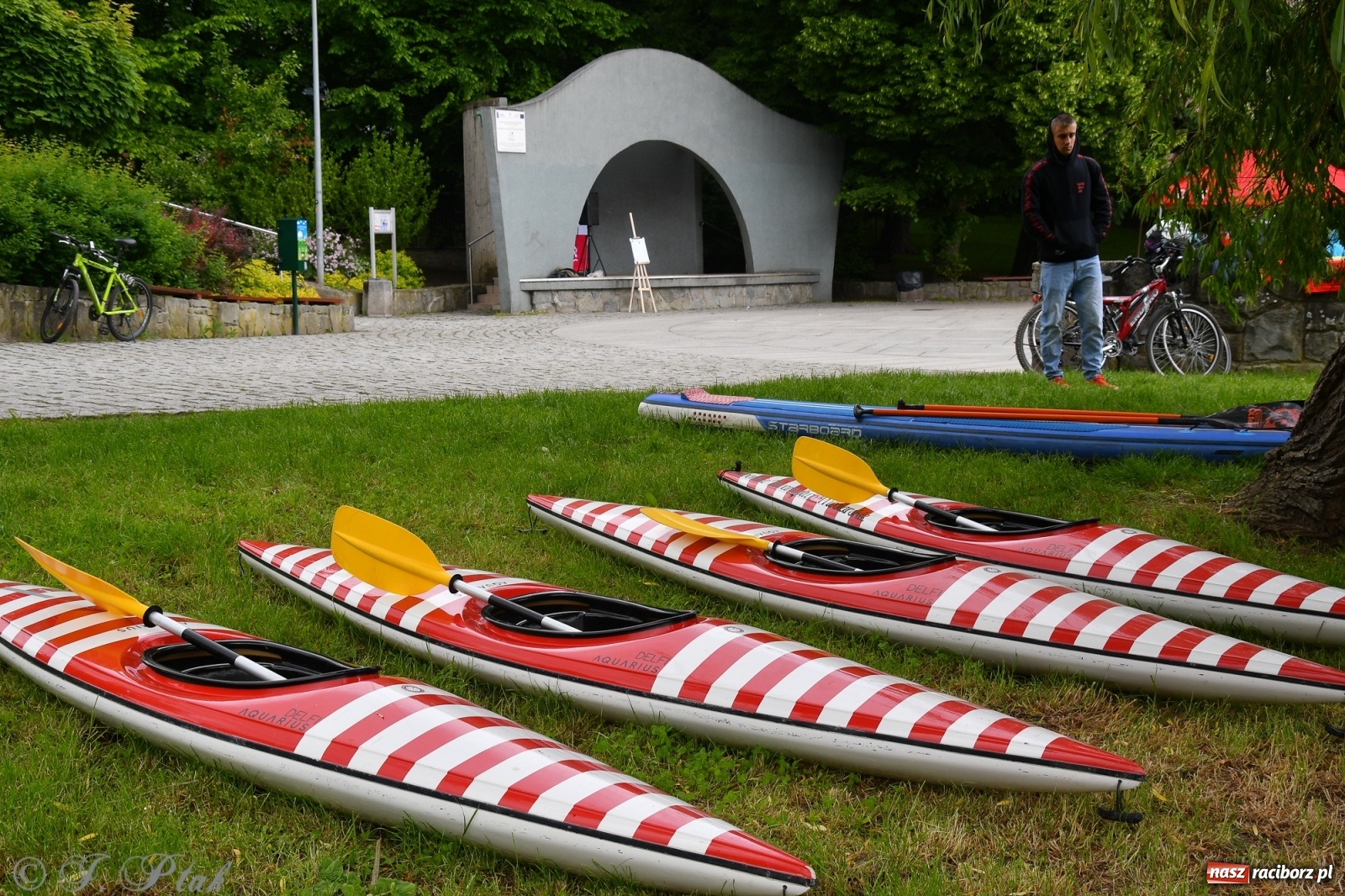 Zdjęcie w galerii na portalu naszraciborz.pl: Racibórz. Wielkie wiosłowanie w parku m. Roth wiadomości z regionu