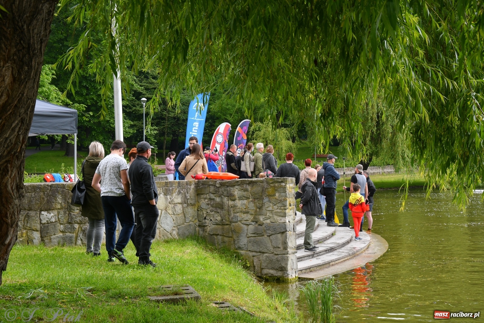 Zdjęcie w galerii na portalu naszraciborz.pl: Racibórz. Wielkie wiosłowanie w parku m. Roth wiadomości z regionu