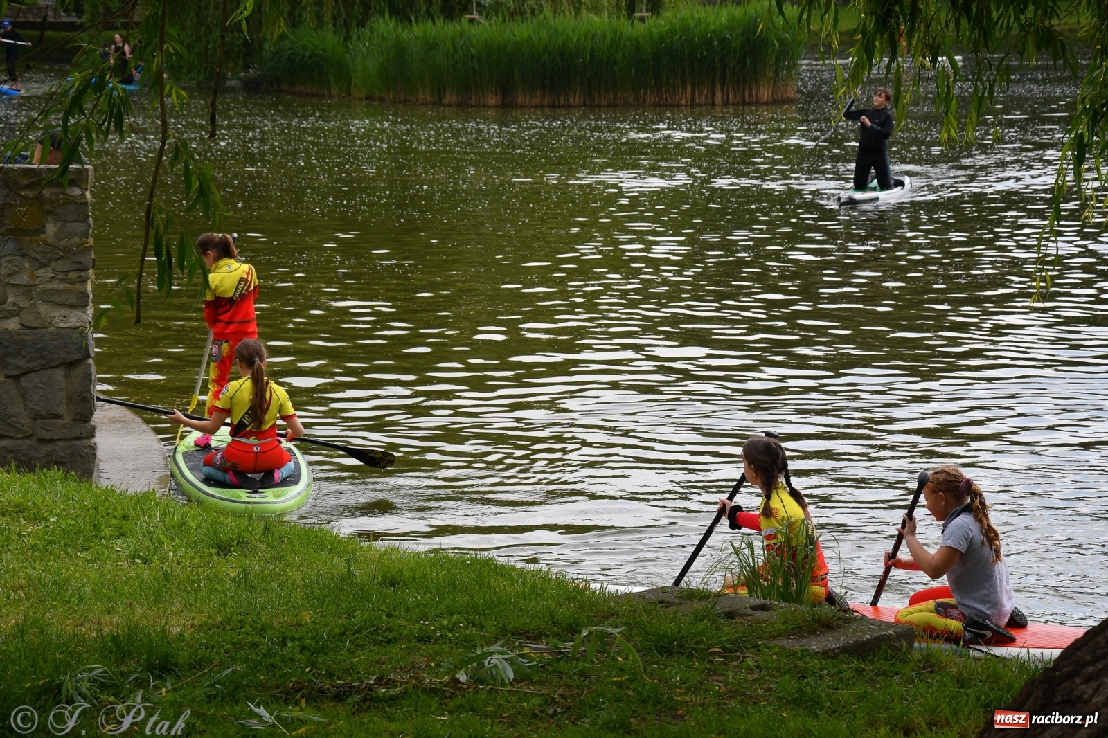 Zdjęcie w galerii na portalu naszraciborz.pl: Racibórz. Wielkie wiosłowanie w parku m. Roth wiadomości z regionu