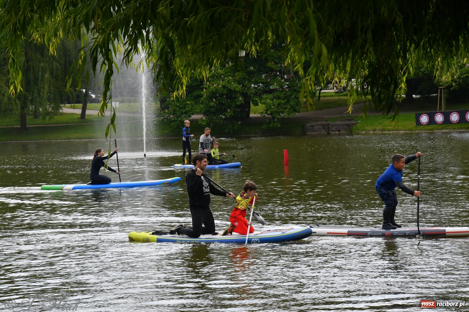 Zdjęcie w galerii na portalu naszraciborz.pl: Racibórz. Wielkie wiosłowanie w parku m. Roth wiadomości z regionu