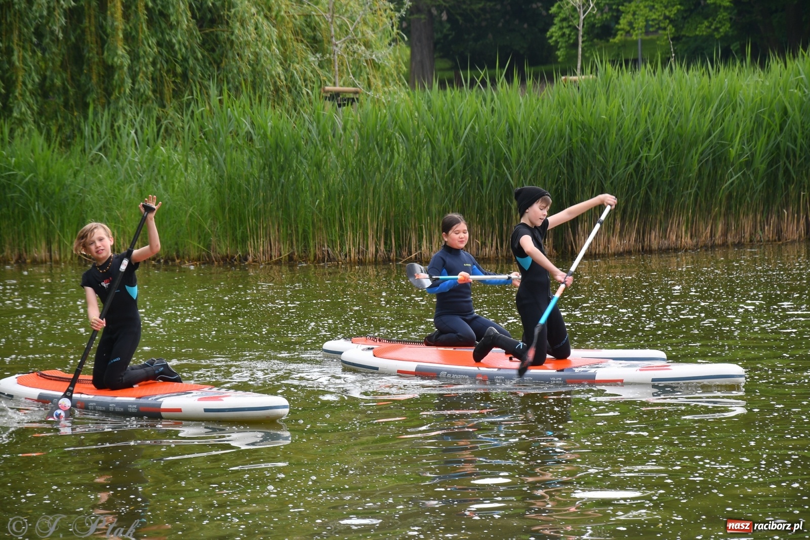 Zdjęcie w galerii na portalu naszraciborz.pl: Racibórz. Wielkie wiosłowanie w parku m. Roth wiadomości z regionu