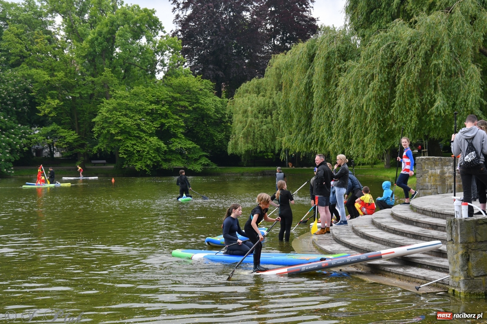 Zdjęcie w galerii na portalu naszraciborz.pl: Racibórz. Wielkie wiosłowanie w parku m. Roth wiadomości z regionu