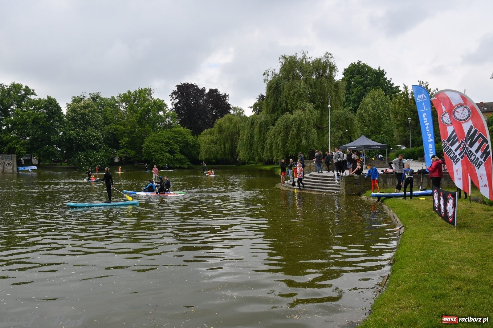 Zdjęcie w galerii na portalu naszraciborz.pl: Racibórz. Wielkie wiosłowanie w parku m. Roth wiadomości z regionu