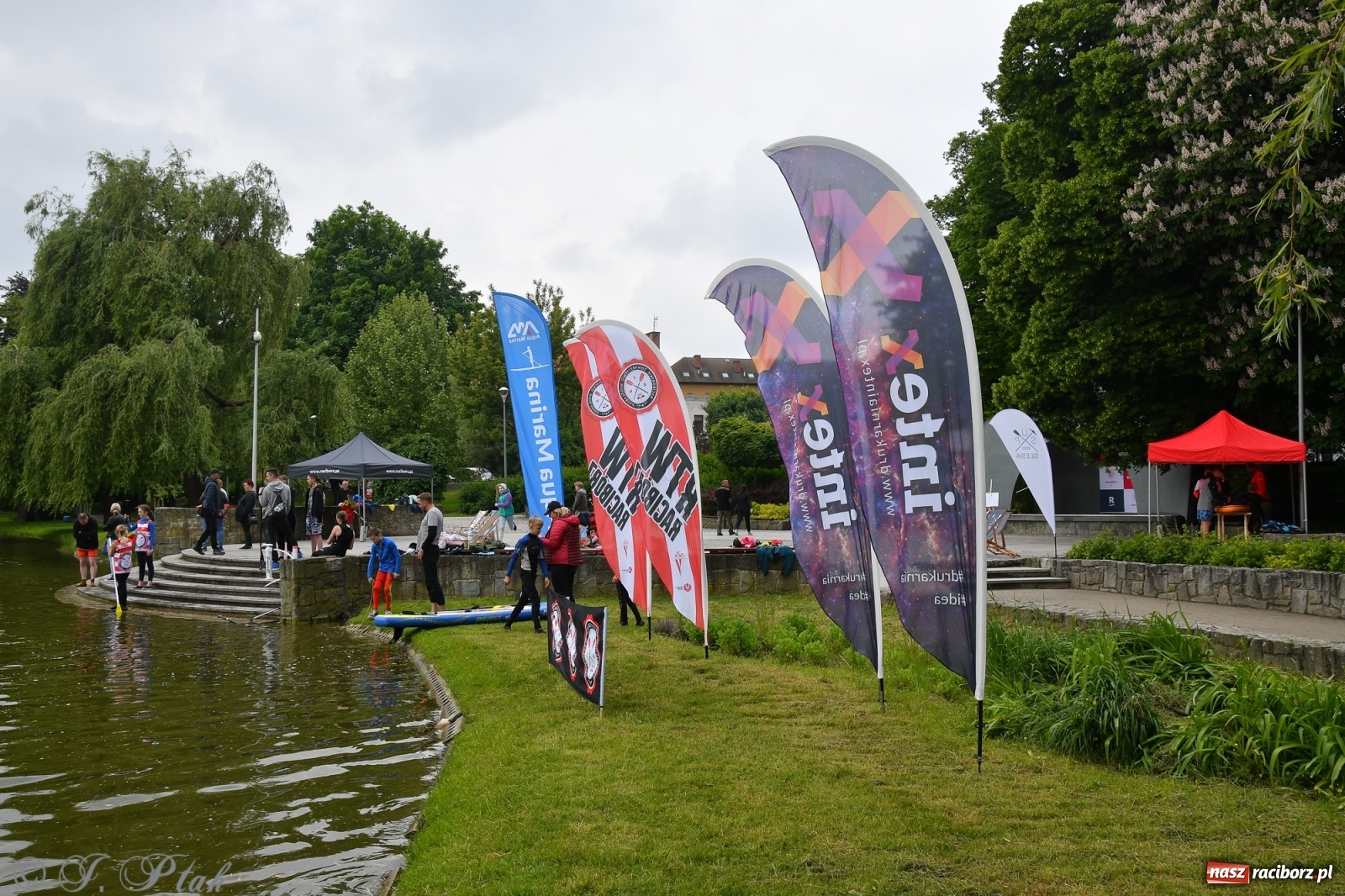 Zdjęcie w galerii na portalu naszraciborz.pl: Racibórz. Wielkie wiosłowanie w parku m. Roth wiadomości z regionu