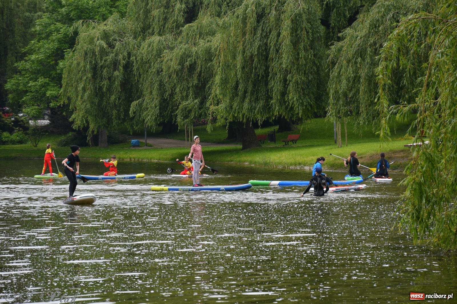 Zdjęcie w galerii na portalu naszraciborz.pl: Racibórz. Wielkie wiosłowanie w parku m. Roth wiadomości z regionu