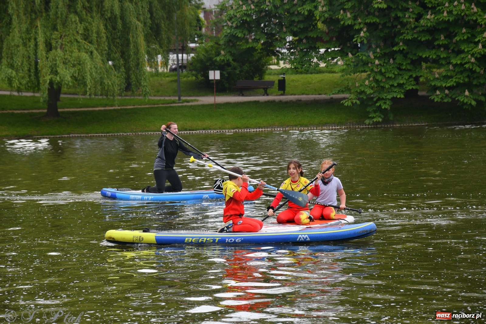 Zdjęcie w galerii na portalu naszraciborz.pl: Racibórz. Wielkie wiosłowanie w parku m. Roth wiadomości z regionu