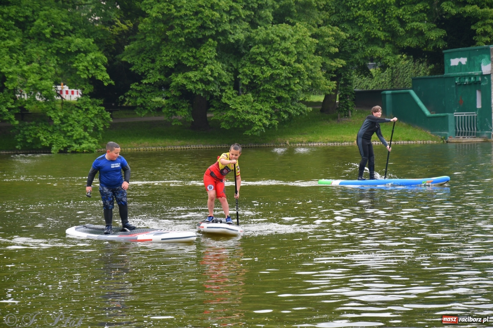 Zdjęcie w galerii na portalu naszraciborz.pl: Racibórz. Wielkie wiosłowanie w parku m. Roth wiadomości z regionu