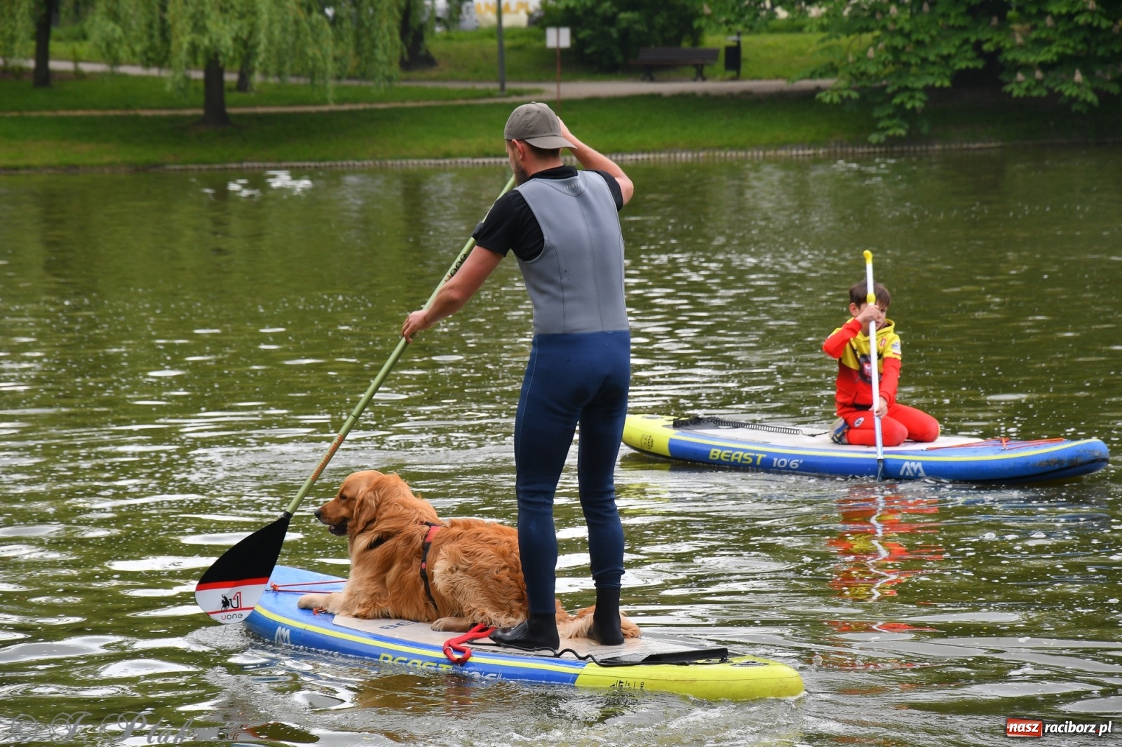 Zdjęcie w galerii na portalu naszraciborz.pl: Racibórz. Wielkie wiosłowanie w parku m. Roth wiadomości z regionu