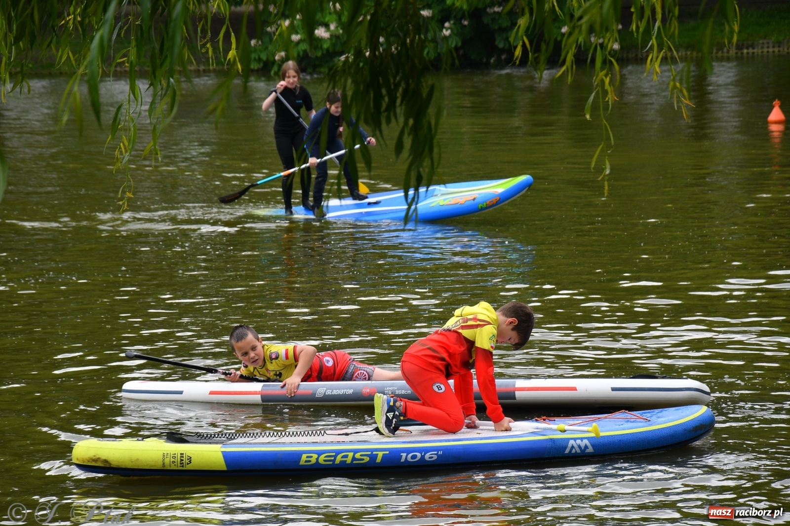 Zdjęcie w galerii na portalu naszraciborz.pl: Racibórz. Wielkie wiosłowanie w parku m. Roth wiadomości z regionu