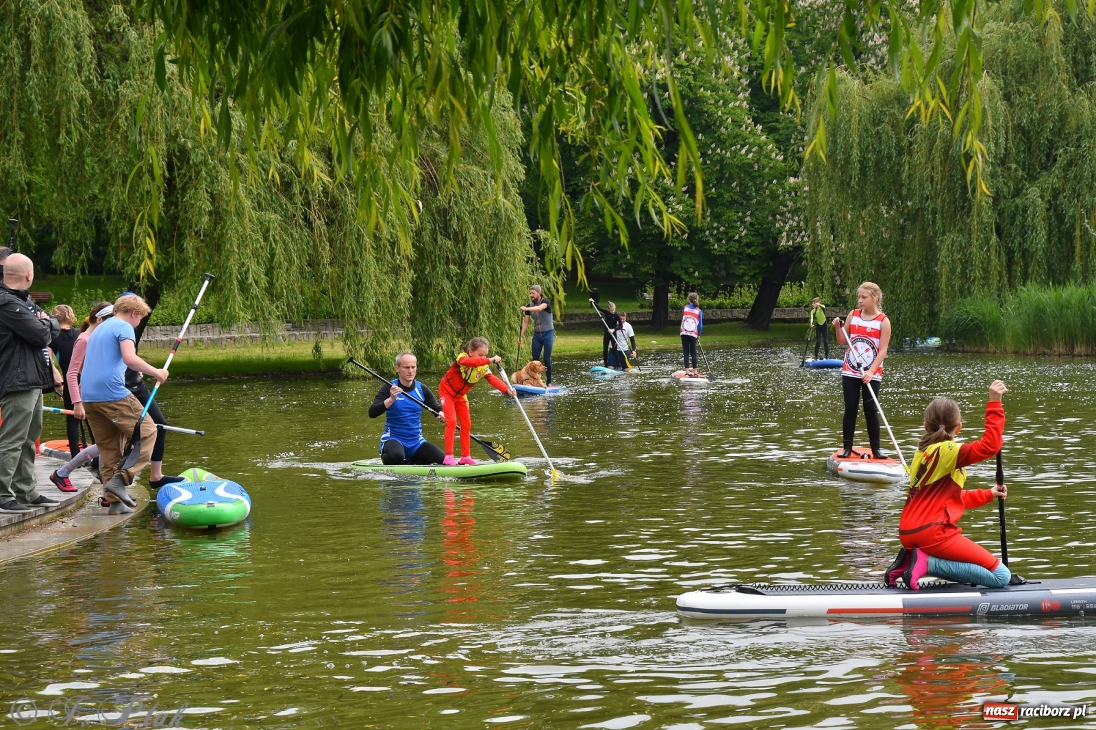 Zdjęcie w galerii na portalu naszraciborz.pl: Racibórz. Wielkie wiosłowanie w parku m. Roth wiadomości z regionu