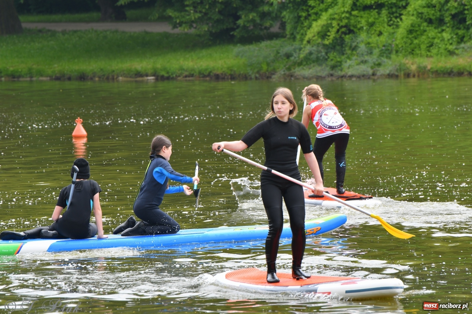 Zdjęcie w galerii na portalu naszraciborz.pl: Racibórz. Wielkie wiosłowanie w parku m. Roth wiadomości z regionu
