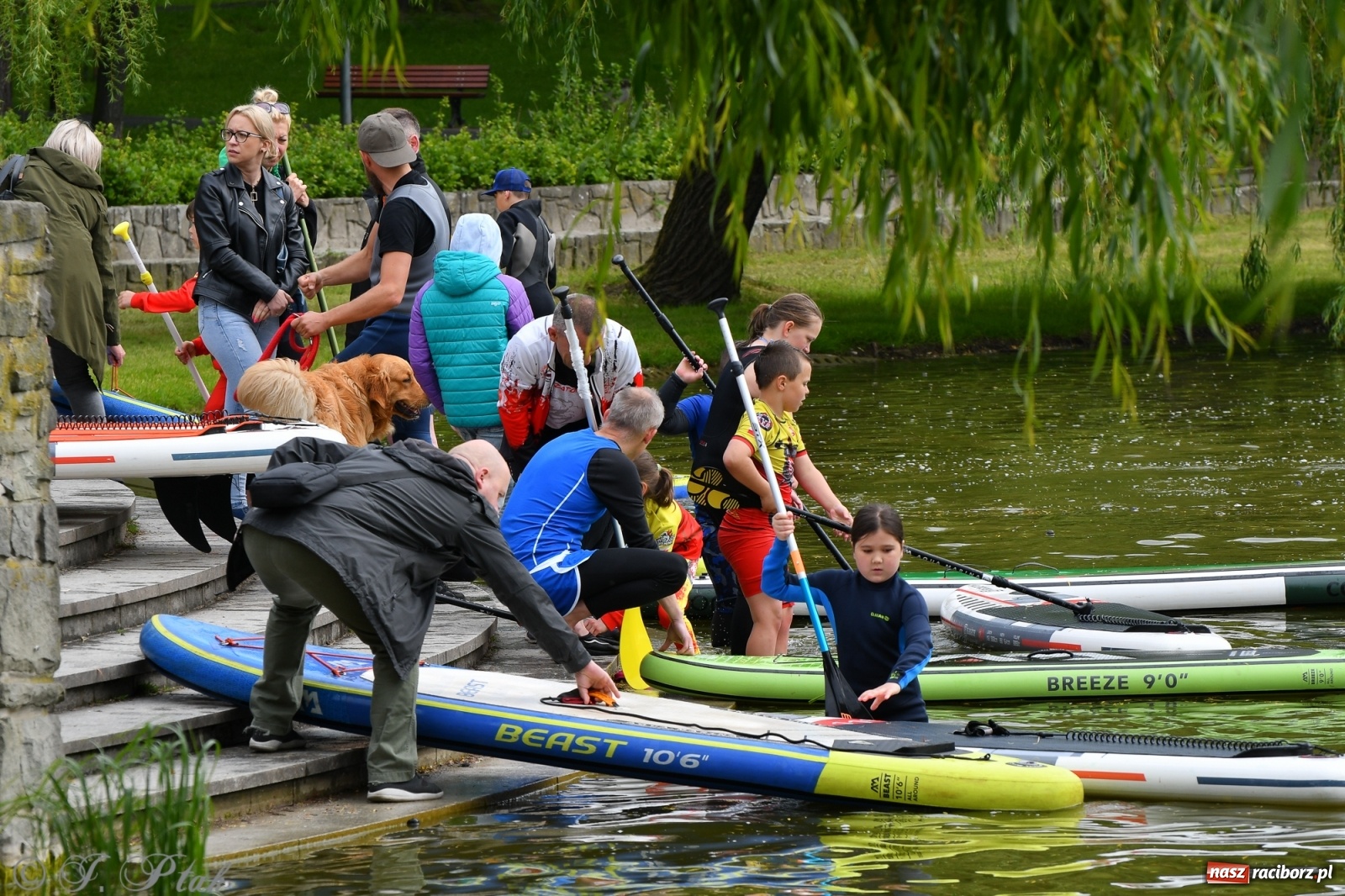 Zdjęcie w galerii na portalu naszraciborz.pl: Racibórz. Wielkie wiosłowanie w parku m. Roth wiadomości z regionu
