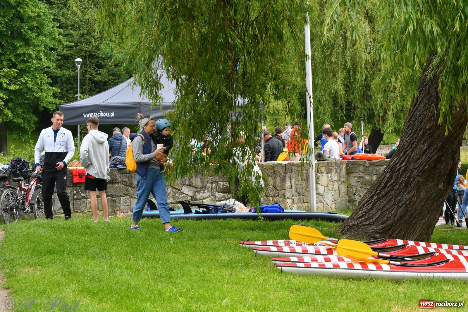 Zdjęcie w galerii na portalu naszraciborz.pl: Racibórz. Wielkie wiosłowanie w parku m. Roth wiadomości z regionu