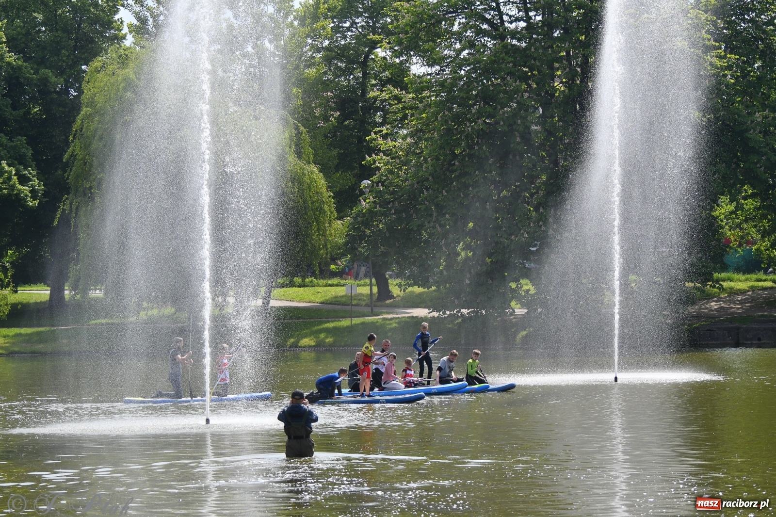 Zdjęcie w galerii na portalu naszraciborz.pl: Racibórz. Wielkie wiosłowanie w parku m. Roth wiadomości z regionu