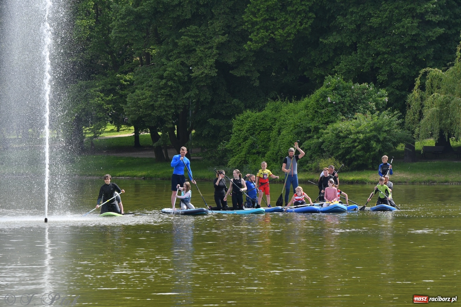 Zdjęcie w galerii na portalu naszraciborz.pl: Racibórz. Wielkie wiosłowanie w parku m. Roth wiadomości z regionu