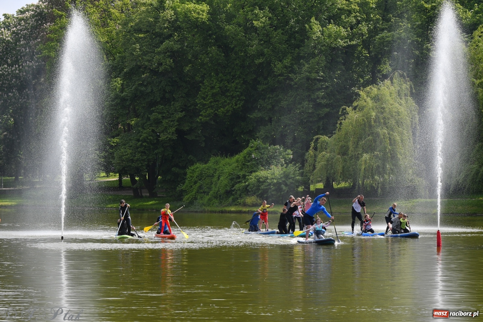 Zdjęcie w galerii na portalu naszraciborz.pl: Racibórz. Wielkie wiosłowanie w parku m. Roth wiadomości z regionu