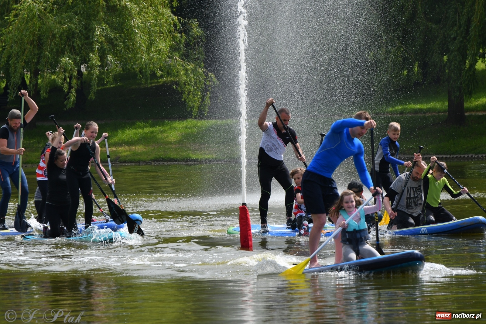 Zdjęcie w galerii na portalu naszraciborz.pl: Racibórz. Wielkie wiosłowanie w parku m. Roth wiadomości z regionu