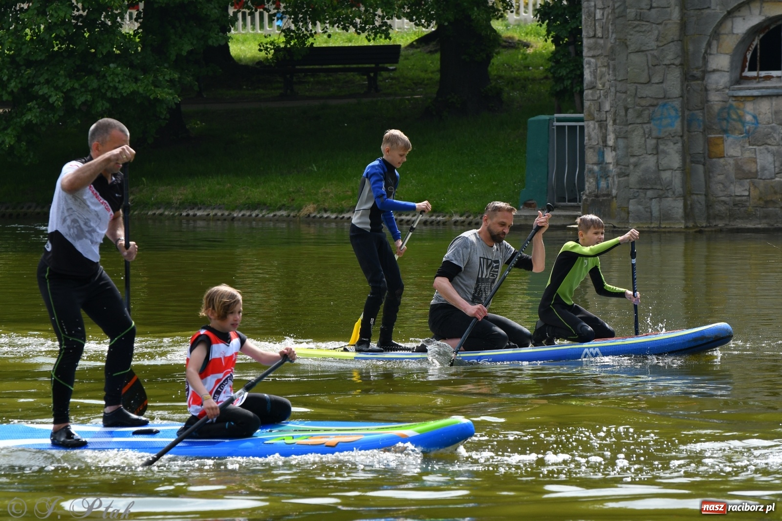 Zdjęcie w galerii na portalu naszraciborz.pl: Racibórz. Wielkie wiosłowanie w parku m. Roth wiadomości z regionu