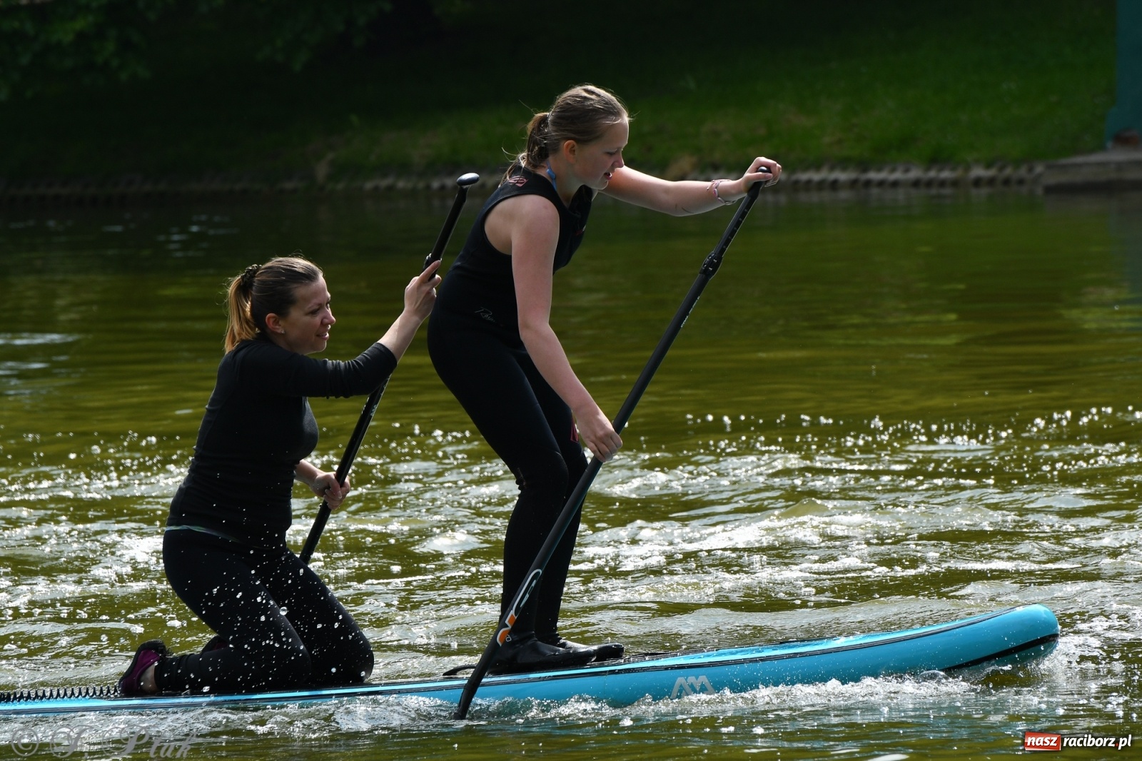 Zdjęcie w galerii na portalu naszraciborz.pl: Racibórz. Wielkie wiosłowanie w parku m. Roth wiadomości z regionu
